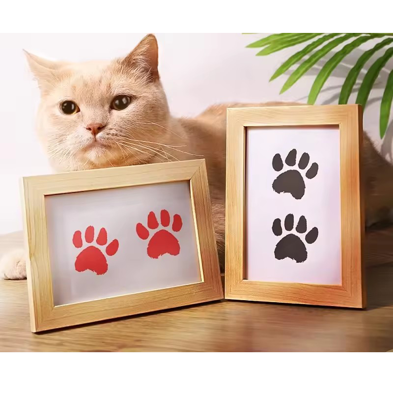 5 Inch Solid Wood Picture Fram - đánh giá và giá Baby Nursery Picture Frames